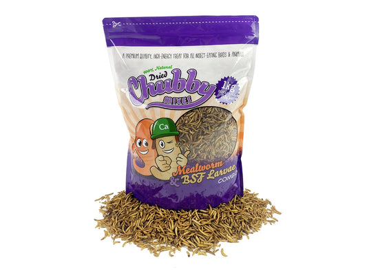 1Kg Chubby Dried Mealworm & Black Soldier Fly Mix